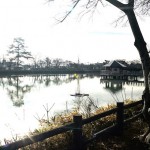 八条ヶ池