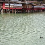 八条が池